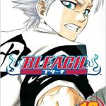 Bleach 16 (Manga)