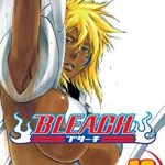Bleach 42 (Manga)